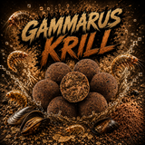 Gammarus Krill
